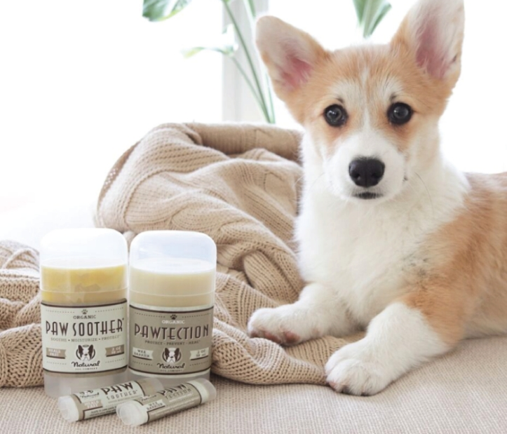 dog posing with pet products from Paul's Pharmacy